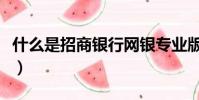 什么是招商銀行網銀專業版(什么是招商銀行)