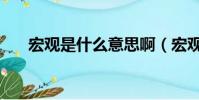 宏觀是什么意思啊(宏觀是什么意思)