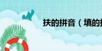 扶的拼音(填的拼音)