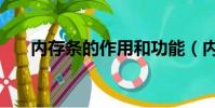 內存條的作用和功能(內存條的作用)