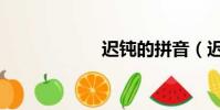 遲鈍的拼音(遲鈍)