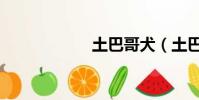 土巴哥犬(土巴哥)
