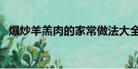 爆炒羊羔肉的家常做法大全(爆炒羊羔肉)