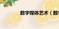 數字媒體藝術(數字媒體)
