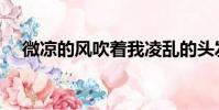 微涼的風吹著我凌亂的頭發(微涼的風)