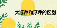 大浮萍和浮萍的區別(大浮萍)