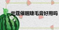 蘭蔻催眠睫毛膏好用嗎(蘭蔻催眠)