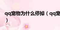 qq寵物為什么停掉(qq寵物為什么停止運營)