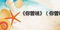 《你曾說》(你曾說歌詞)