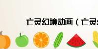 亡靈幻境動畫(亡靈幻境oad)