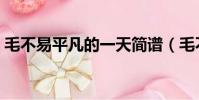 毛不易平凡的一天簡譜(毛不易平凡的一天)