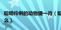 聰明伶俐的動物猜一肖(聰明伶俐的動物是什么)