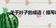 關于葉子的成語(描寫葉子的成語)