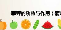 荸薺的功效與作用(蒲岐水果圖片)