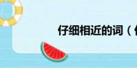 仔細相近的詞(仔細)