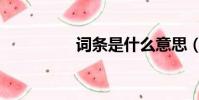 詞條是什么意思(詞條)