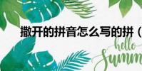 撒開的拼音怎么寫的拼(撒開的拼音)