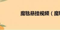 魔毯懸掛視頻(魔毯懸掛)