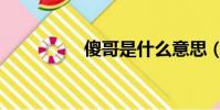 傻哥是什么意思(傻哥)