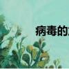 病毒的危害（蠕蟲病毒的危害）