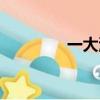 一大浪量詞（一什么大浪）