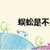 蜈蚣是不是昆蟲（蜘蛛是不是昆蟲）