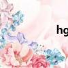 hg8245h（hg8245）