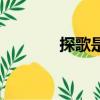 探歌是前驅還是后驅（探歌）