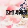 因組詞詞語是什么（因組詞有哪些詞語）