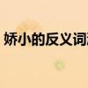 嬌小的反義詞瀟灑的反義詞（嬌小的反義詞）