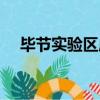 畢節實驗區成立三十周年（畢節實驗區）