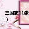 三國志11張遼親愛武將（三國志11張遼變身）