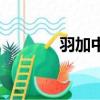 羽加中的正確讀音（羽加中）