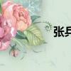張兵兵簡介（張兵簡歷）