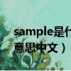 sample是什么意思英語翻譯（sample什么意思中文）