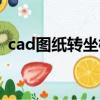 cad圖紙轉坐標系（cad圖紙坐標轉換步驟）