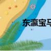 東瀛寶馬是什么意思（東瀛寶馬）