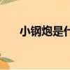 小鋼炮是什么車型（小鋼炮是什么車）