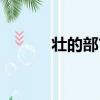 壯的部首丬叫什么（壯的部首）