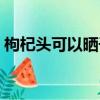 枸杞頭可以曬干嗎圖片（枸杞頭可以曬干嗎）