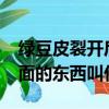綠豆皮裂開后里面白色的是胚嗎?（綠豆皮里面的東西叫什么）