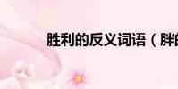 勝利的反義詞語(胖的反義詞)