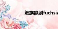 魅族能刷fuchsia系統
