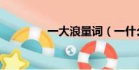 一大浪量詞(一什么大浪)