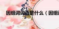 因組詞詞語是什么(因組詞有哪些詞語)