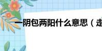 一陰包兩陽什么意思(走穴什么意思)