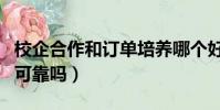 校企合作和訂單培養哪個好(校企訂單班真的可靠嗎)
