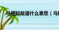 鳥棲知故道什么意思(鳥棲蟲居的意思)