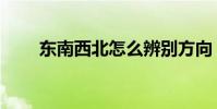 東南西北怎么辨別方向(東南西北)