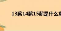 13薪14薪15薪是什么意思(13薪)